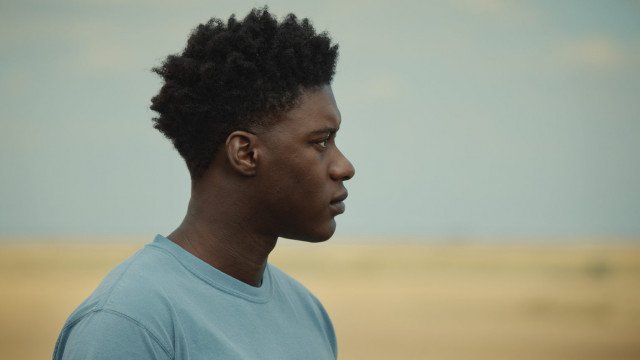 Podcast | The Last Tree with Shola Amoo and Sam Adewunmi