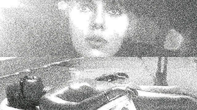 reDiscover Double Glazer | Programme Notes