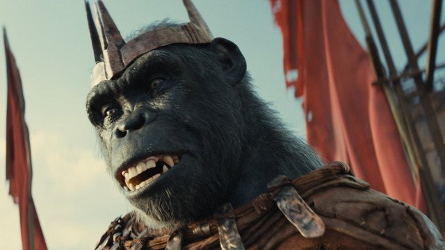 Kingdom of the Planet of the Apes | Picturehouse Recommends