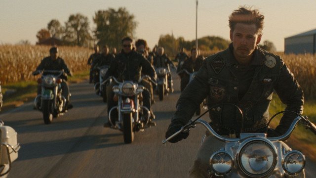 The Bikeriders | Picturehouse Recommends