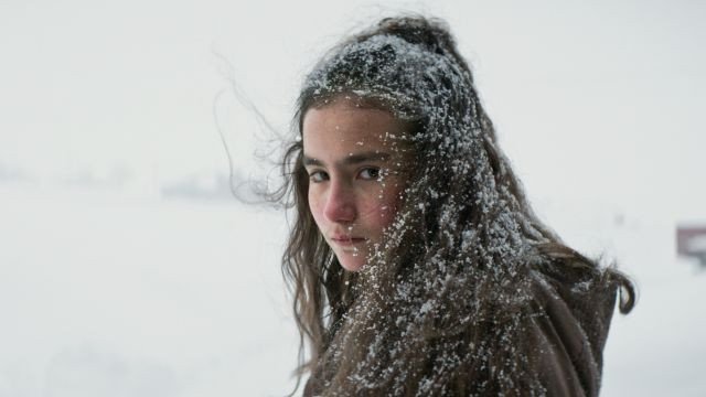 About Dry Grasses | Fresh Takes