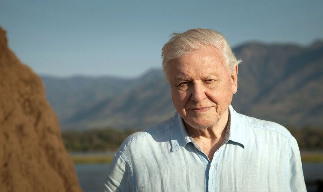 David Attenborough: A Life On Our Planet