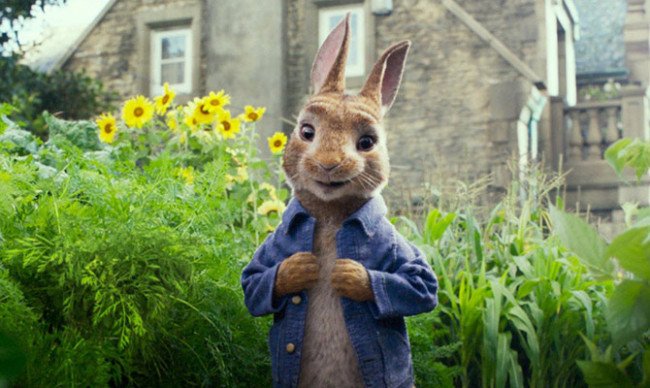 Peter Rabbit