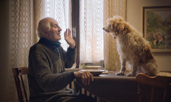 A FESTIVE FEAST: The Truffle Hunters