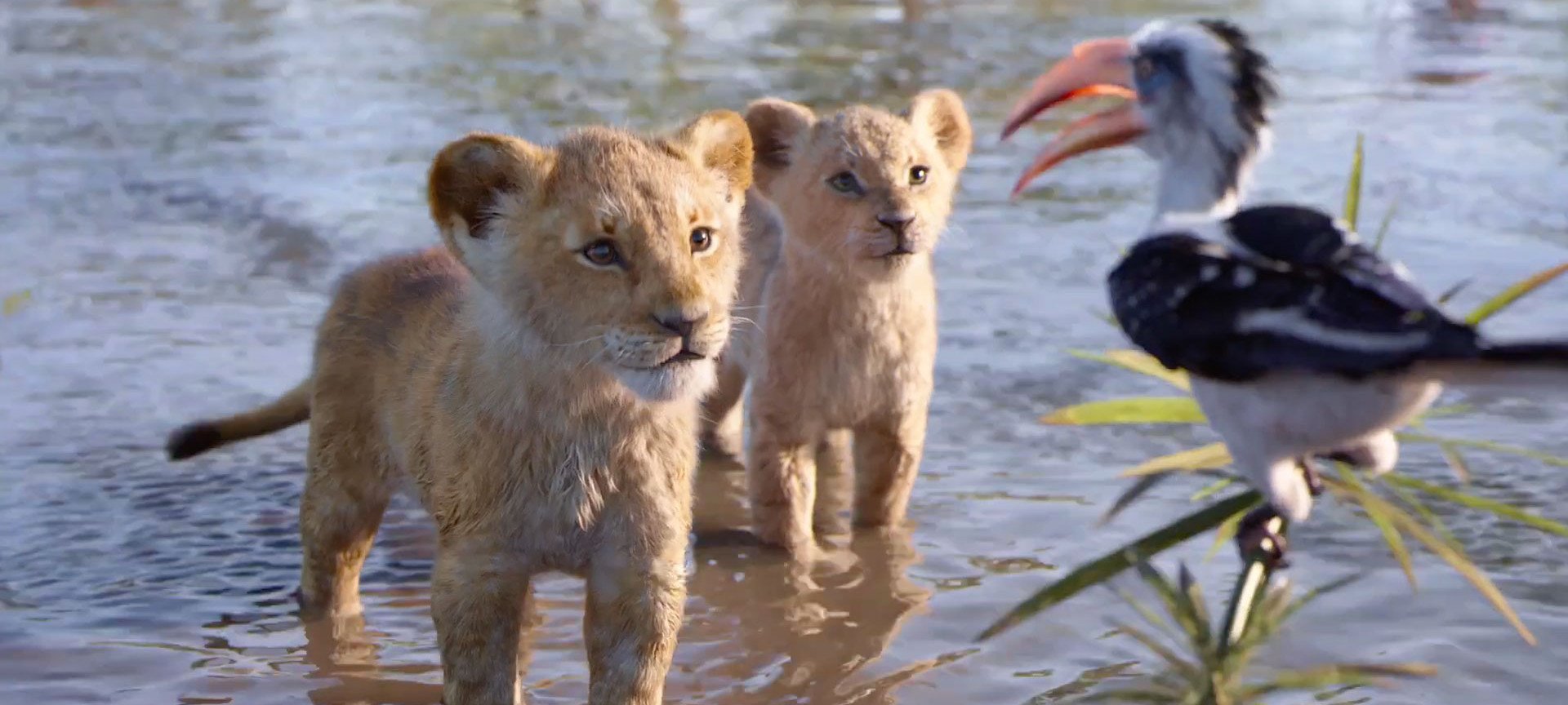 The Lion King + BSL Storytelling Performance