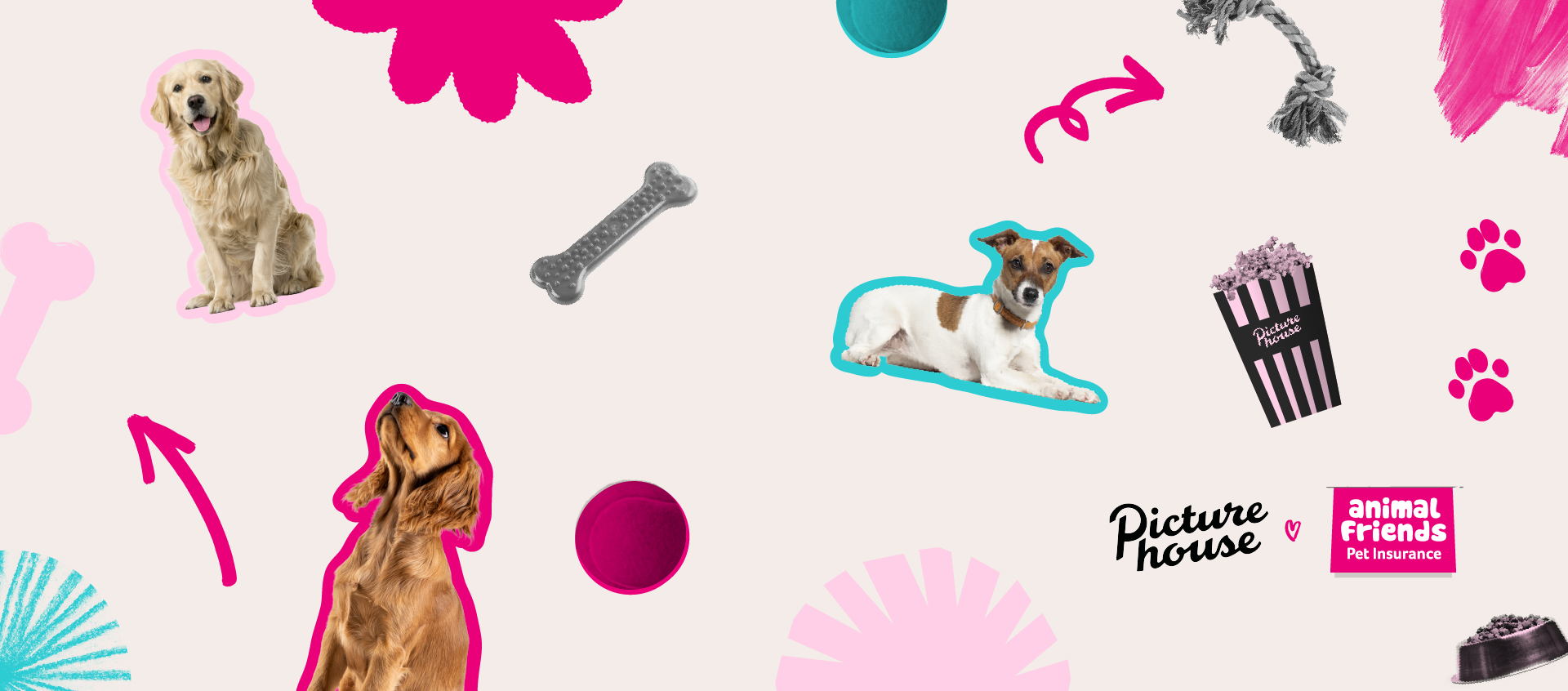 DOG FRIENDLY SCREENINGS