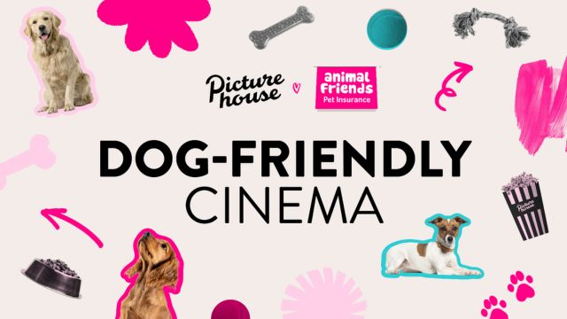 Dog-Friendly Screenings at Picturehouse, brought to you by Animal Friends Pet Insurance