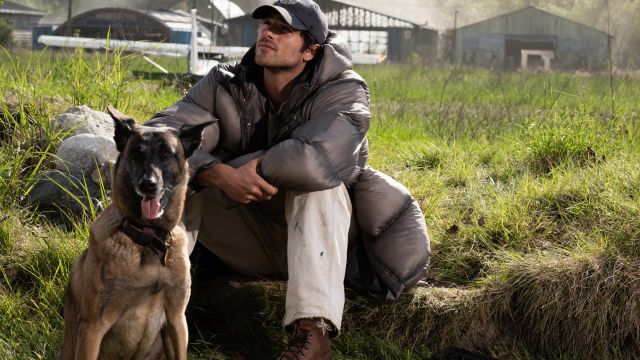 The Dog Stars | Picturehouse Recommends