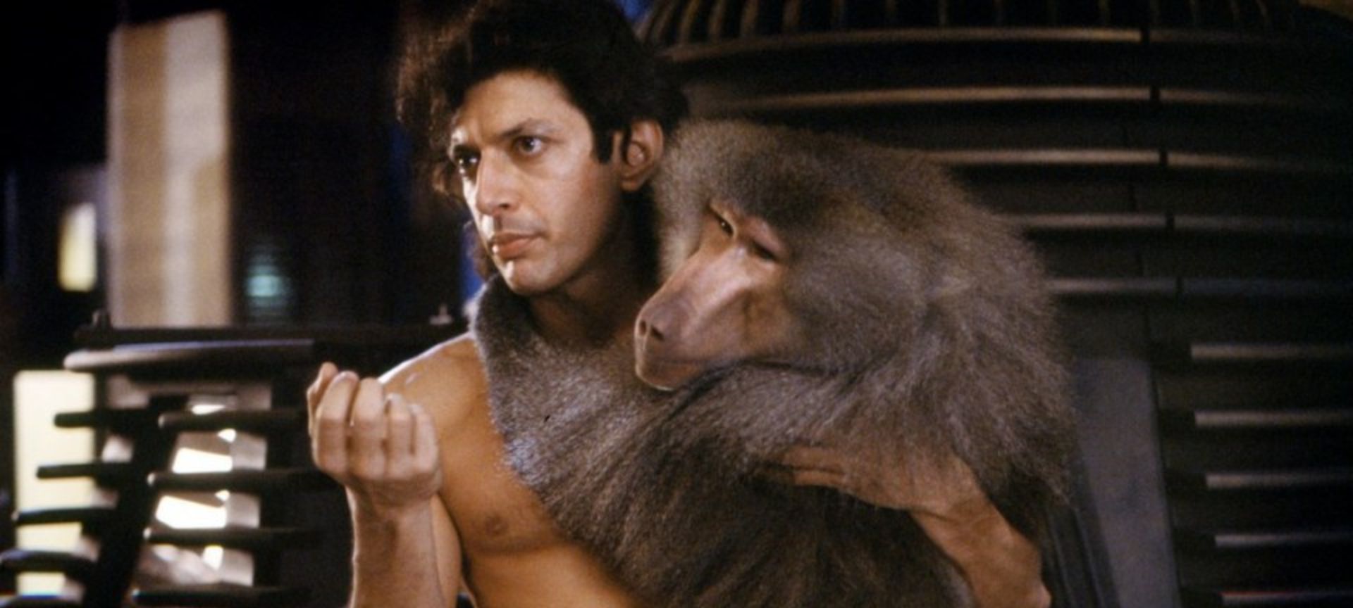 The Gate's 115th Birthday: The Fly (1986)