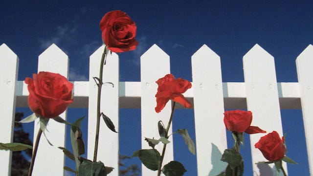 I Love David Lynch  |  Picturehouse Recommends