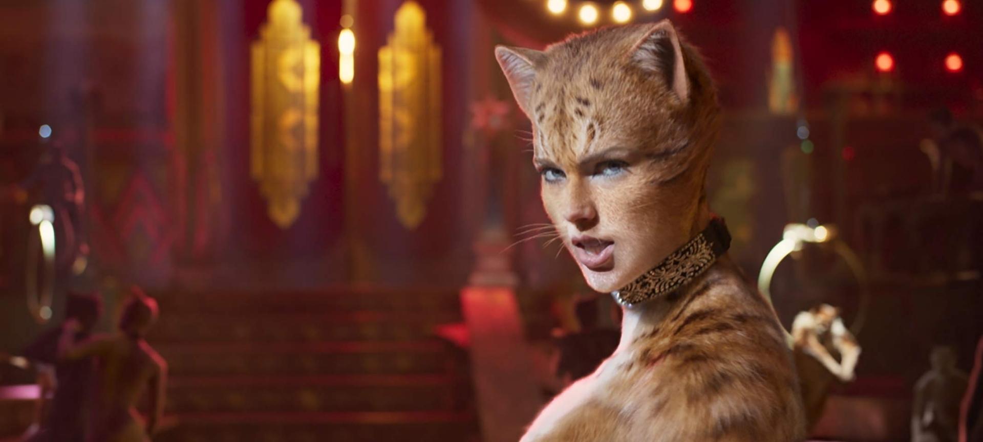 Big Night Out: Cats Book Now