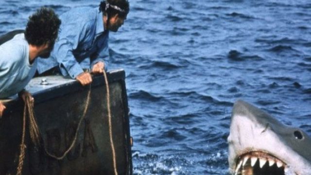Jaws