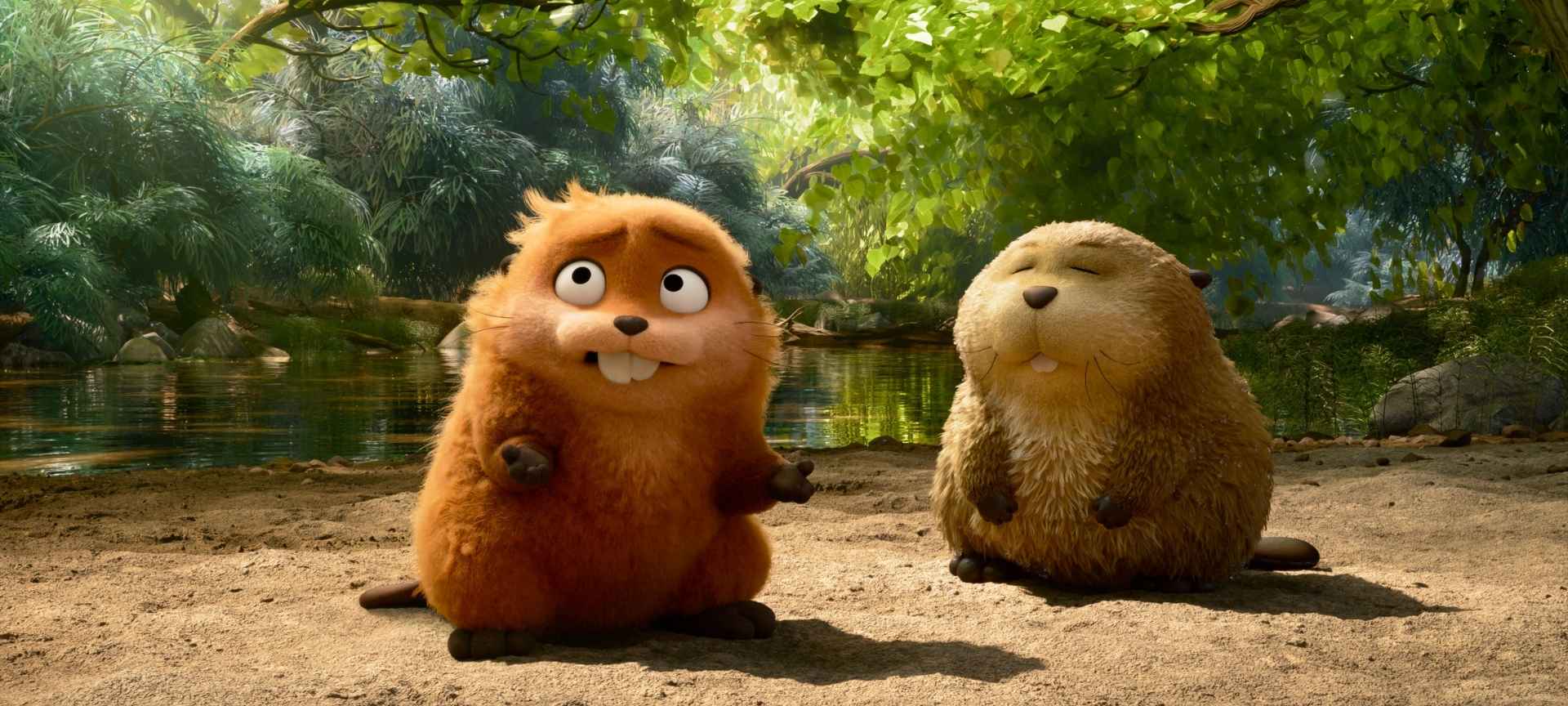 Welcome toChester Picturehouse