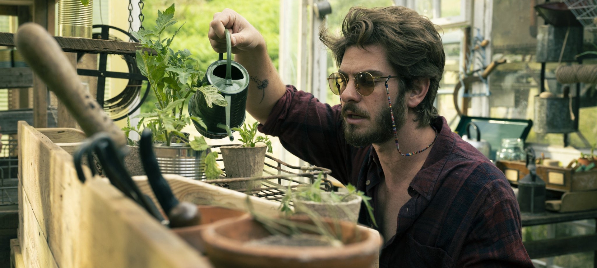 Welcome to City Screen, York