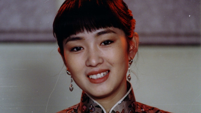 Raise The Red Lantern 1991