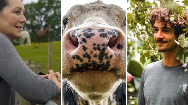 Roots & Resilience: Stories of Land, Food, and Change