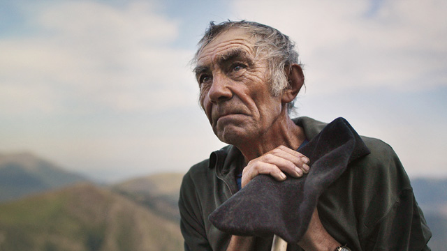 The Shepherd and the Bear