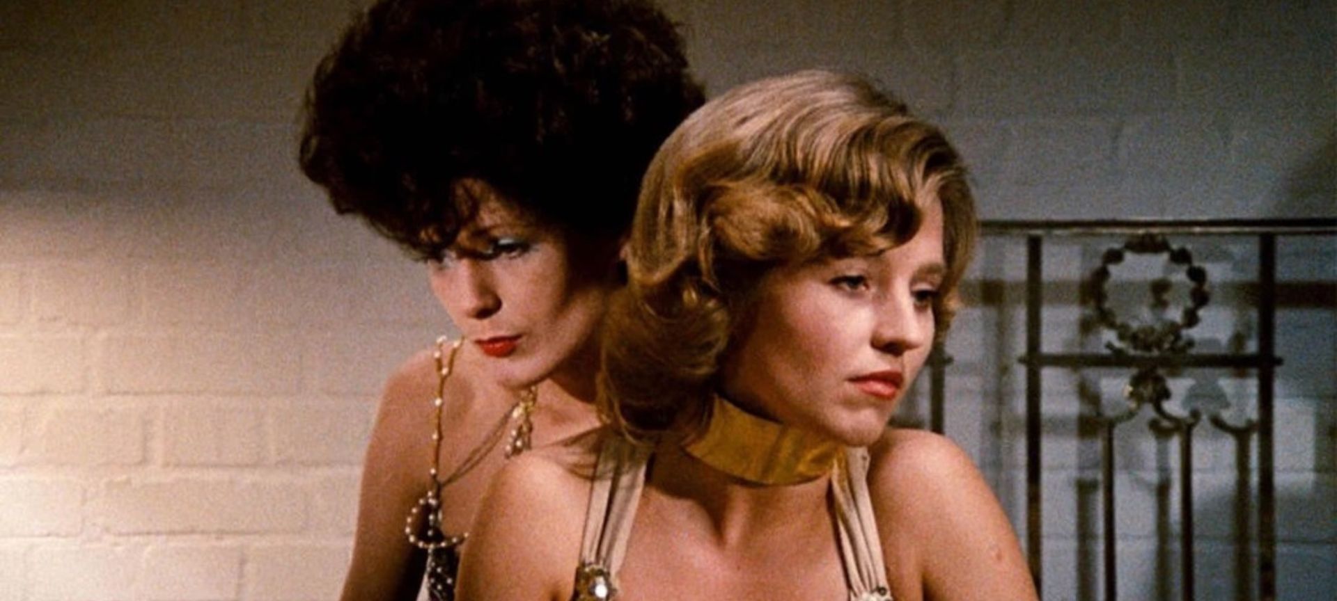 The Bitter Tears of Petra Von Kant + Introduction