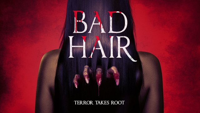 Bad Hair Bad Hair